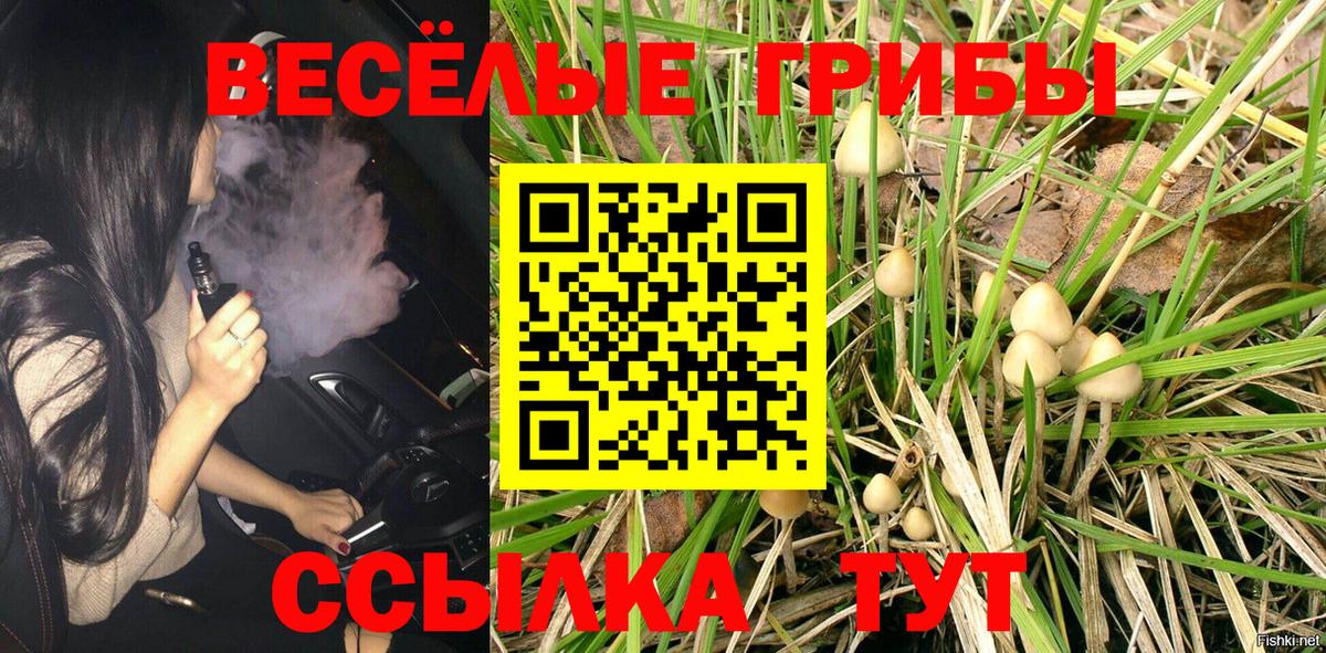 Галлюциногенные грибы прущие грибы  Вход с VPN  Ялуторовск 